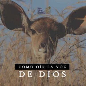 Read more about the article Cómo Oír la Voz de Dios