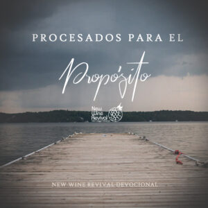 Read more about the article Procesados Para el Propósito