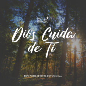 Read more about the article Dios cuida de ti