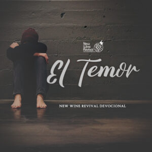 Read more about the article El Temor