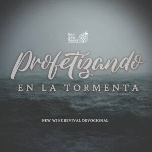 Read more about the article Profetizando en la Tormenta