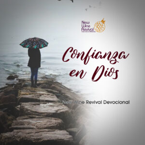 Read more about the article Confianza en Dios