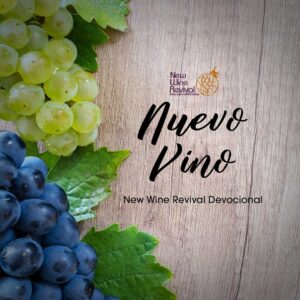Read more about the article Nuevo Vino