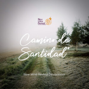 Read more about the article “Camino de Santidad”