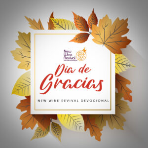 Read more about the article Dia de Gracias