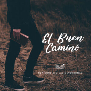 Read more about the article El Buen Camino