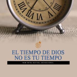Read more about the article El tiempo de Dios no es tu tiempo