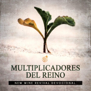 Read more about the article Multiplicadores del Reino.