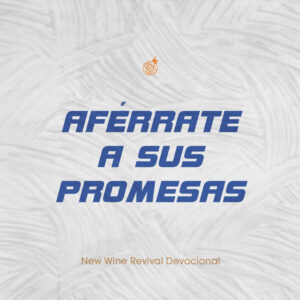 Read more about the article Aférrate a sus Promesas