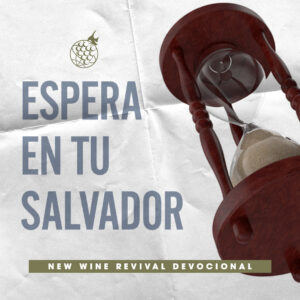 Read more about the article Espera en tu Salvador