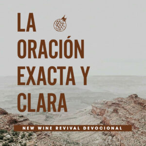 Read more about the article La Oración Exacta y Clara