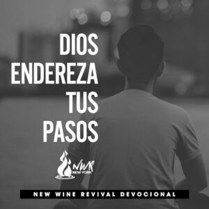 Read more about the article Dios endereza tus pasos