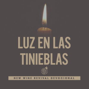 Read more about the article Luz en las tinieblas