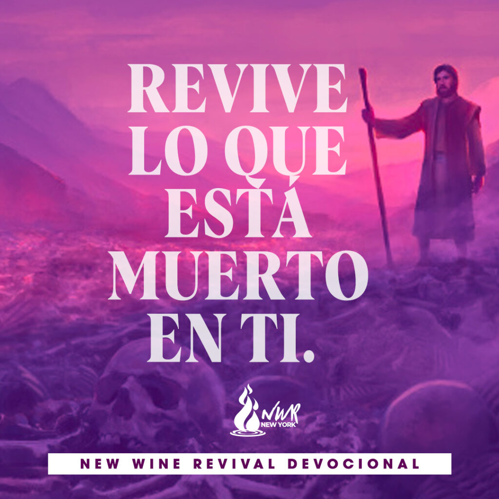 Revive EN