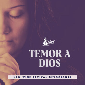 Read more about the article Temor a Dios