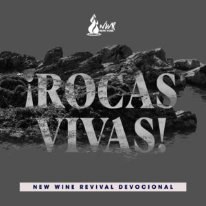 Read more about the article ¡Rocas Vivas!