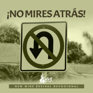 Read more about the article ¡No mires atrás!