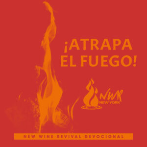 Read more about the article ¡Atrapa el Fuego!