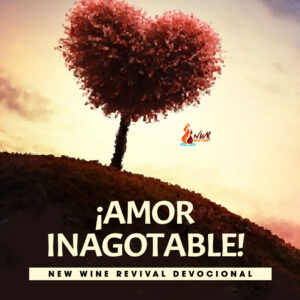 Read more about the article ¡Amor Inagotable!