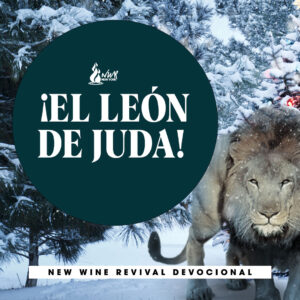 Read more about the article ¡El León de Juda!