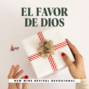 Read more about the article El favor de Dios