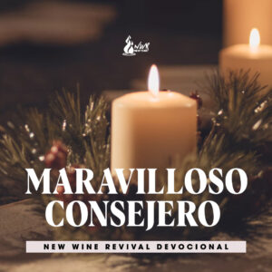 Read more about the article Maravilloso Consejero