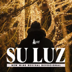 Read more about the article Su Luz