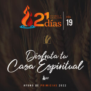 Read more about the article Disfruta tu casa espiritual