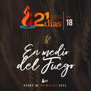 Read more about the article En Medio del Fuego