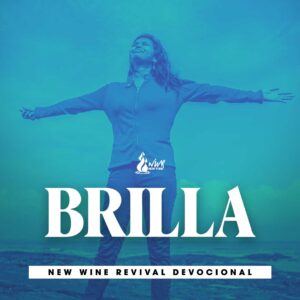 Read more about the article Brilla