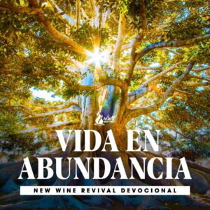 Read more about the article Vida en Abundancia