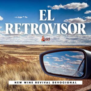 Read more about the article El Retrovisor