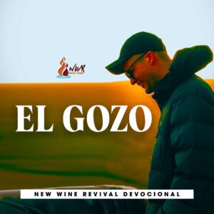 Read more about the article El Gozo