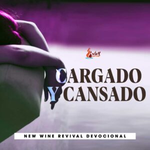 Read more about the article Cargado y cansado