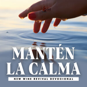 Read more about the article Mantén la calma