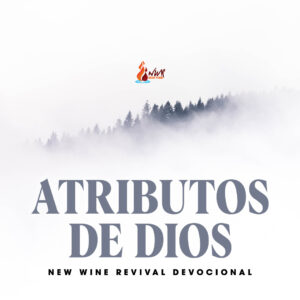 Read more about the article Atributos de Dios