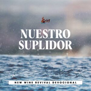Read more about the article Nuestro suplidor