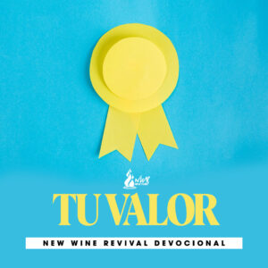 Read more about the article Tu valor