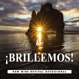 Read more about the article ¡Brillemos!