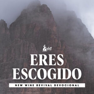 Read more about the article Eres Escogido