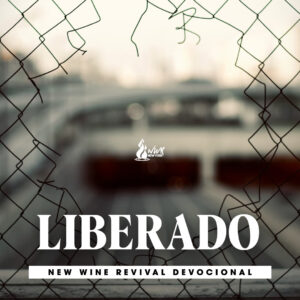 Read more about the article Liberado