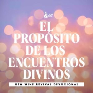 Read more about the article EL PROPÓSITO DE LOS ENCUENTROS DIVINOS