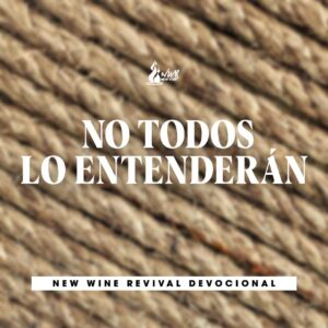 Read more about the article NO TODOS LO ENTENDERÁN