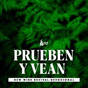Read more about the article Prueben y Vean