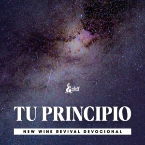 Read more about the article Tu Principio