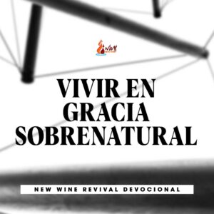 Read more about the article VIVIR EN GRACIA SOBRENATURAL