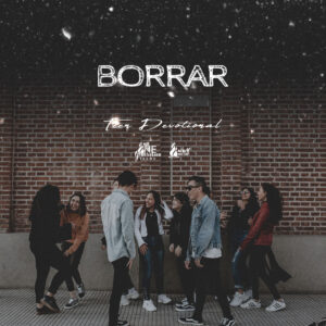 Read more about the article Borrar