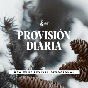 Read more about the article PROVISIÓN DIARIA