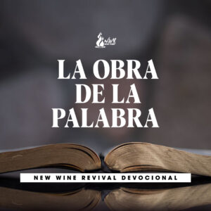 Read more about the article LA OBRA DE LA PALABRA