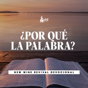 Read more about the article ¿POR QUÉ LA PALABRA?